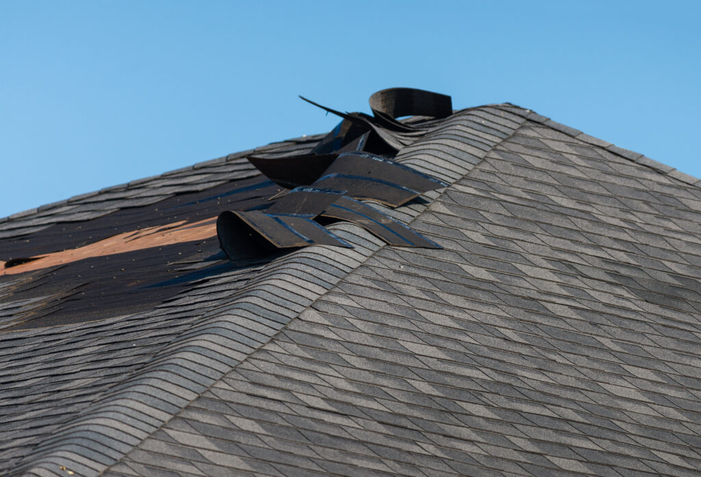 Close-up of a residential roof with wind-damaged asphalt shingles curled and torn, exposing the underlayment and decking beneath.